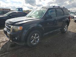 Ford salvage cars for sale: 2011 Ford Escape Limited