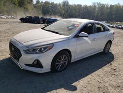 Salvage cars for sale from Copart Finksburg, MD: 2019 Hyundai Sonata SE