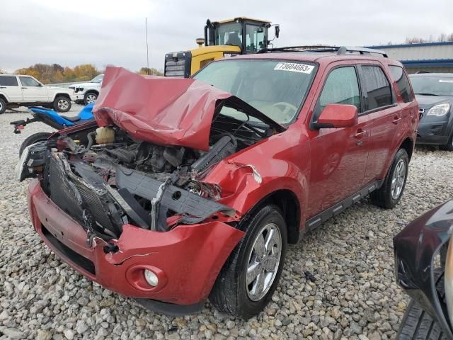 2012 Ford Escape Limited