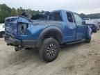 2019 Ford F150 Raptor