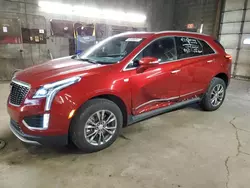 Salvage cars for sale from Copart Angola, NY: 2023 Cadillac XT5 Premium Luxury