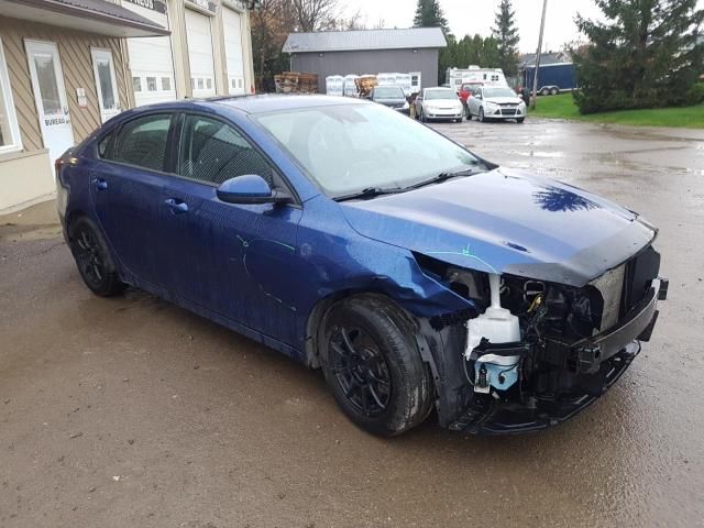 2019 KIA Forte FE