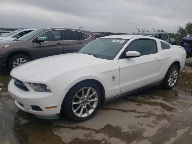 2010 Ford Mustang