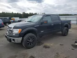 Salvage trucks for sale at Windham, ME auction: 2013 Ford F150 Supercrew