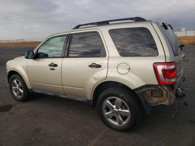 2012 Ford Escape XLT