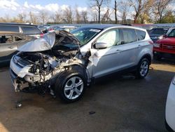 Ford Escape Vehiculos salvage en venta: 2014 Ford Escape SE