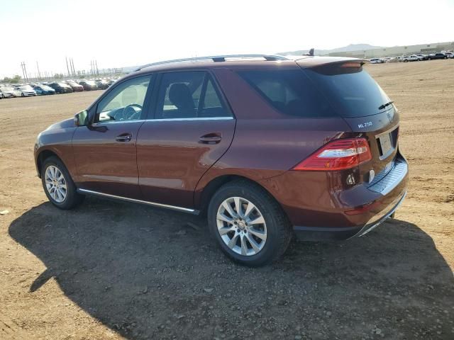 2015 Mercedes-Benz ML 250 Bluetec