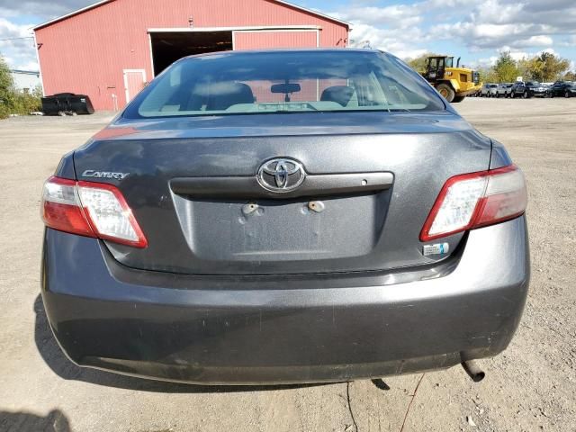 2008 Toyota Camry Hybrid