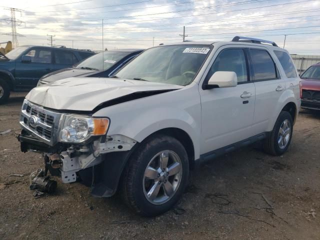 2010 Ford Escape Limited