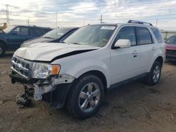 Salvage cars for sale at Dyer, IN auction: 2010 Ford Escape Limited