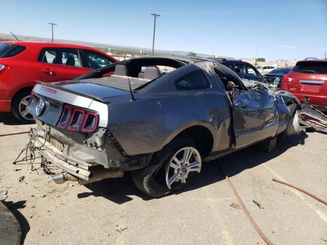 2013 Ford Mustang