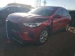 Salvage cars for sale at Elgin, IL auction: 2023 Ford Escape Active