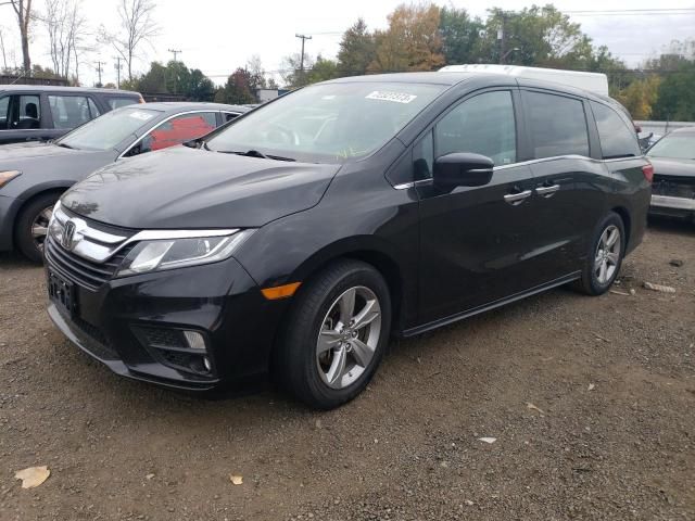 2019 Honda Odyssey EXL