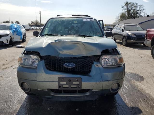 2006 Ford Escape Limited