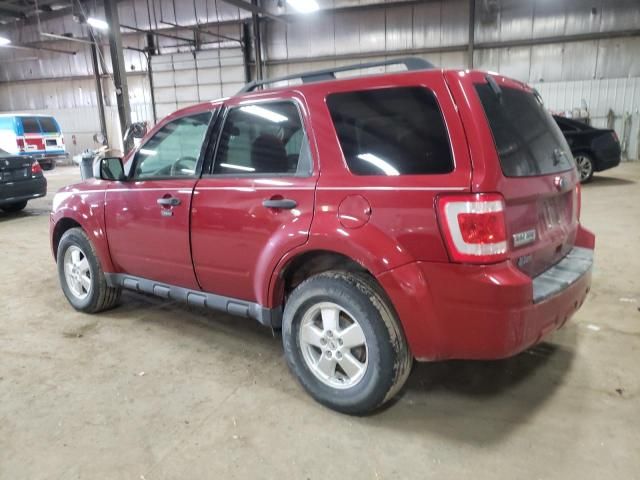 2010 Ford Escape XLT