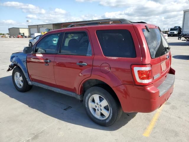 2010 Ford Escape XLT