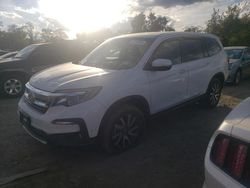 Salvage cars for sale at Baltimore, MD auction: 2022 Honda Pilot EXL