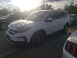 Honda Pilot salvage cars for sale: 2022 Honda Pilot EXL