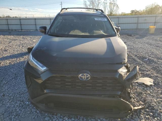 2023 Toyota Rav4 XLE