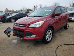 Salvage Cars with No Bids Yet For Sale at auction: 2013 Ford Escape SE