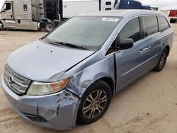 Salvage cars for sale at Albuquerque, NM auction: 2013 Honda Odyssey EXL