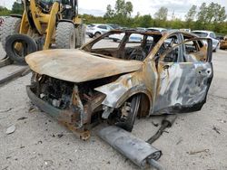 Salvage cars for sale at Bridgeton, MO auction: 2023 KIA Sportage SX Prestige