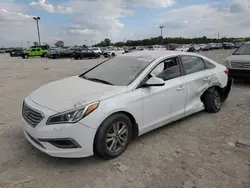 Vehiculos salvage en venta de Copart Indianapolis, IN: 2016 Hyundai Sonata SE