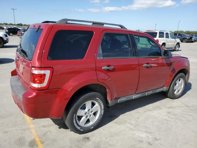 2010 Ford Escape XLT