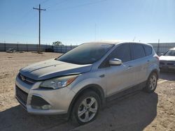 Salvage cars for sale at Andrews, TX auction: 2015 Ford Escape SE