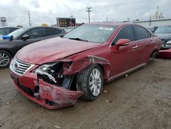 Lexus ES 350 salvage cars for sale: 2011 Lexus ES 350