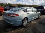 2014 Ford Fusion SE Hybrid