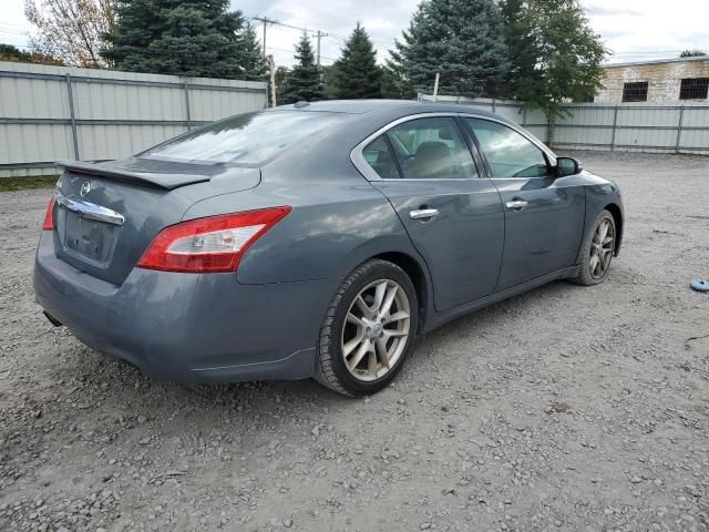 2010 Nissan Maxima S