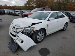 Toyota salvage cars for sale: 2010 Toyota Camry Base