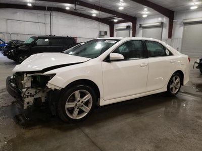 Salvage cars for sale from Copart Avon, MN: 2013 Toyota Camry L