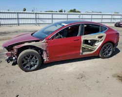 Salvage cars for sale from Copart Bakersfield, CA: 2019 Tesla Model 3