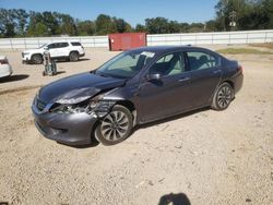 Honda Accord Hybrid salvage cars for sale: 2014 Honda Accord Hybrid