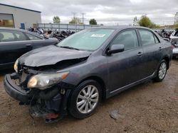 Salvage cars for sale at auction: 2010 Toyota Corolla Base