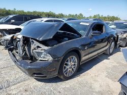 Salvage cars for sale at Jacksonville, FL auction: 2013 Ford Mustang