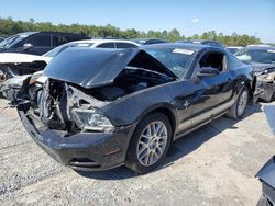 Ford Mustang salvage cars for sale: 2013 Ford Mustang