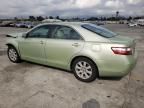 2008 Toyota Camry Hybrid