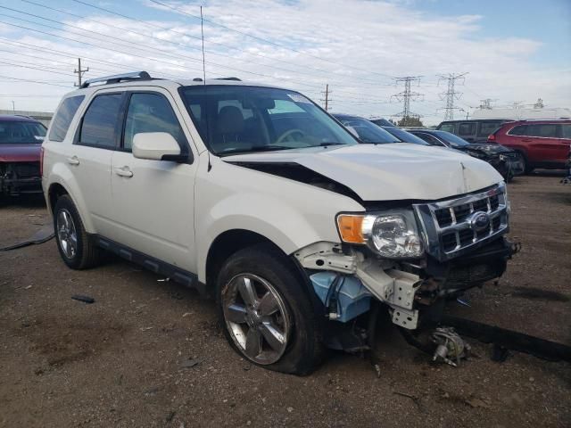 2010 Ford Escape Limited