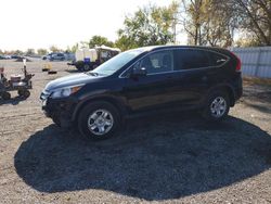 Salvage cars for sale from Copart London, ON: 2014 Honda CR-V LX