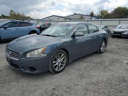 Salvage cars for sale from Copart Albany, NY: 2010 Nissan Maxima S