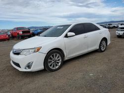 Toyota Camry L salvage cars for sale: 2013 Toyota Camry L