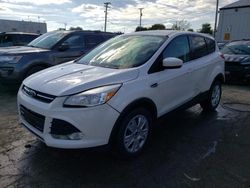 Salvage cars for sale at Chicago Heights, IL auction: 2014 Ford Escape SE