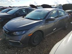 Salvage cars for sale from Copart Brookhaven, NY: 2019 Honda Civic LX