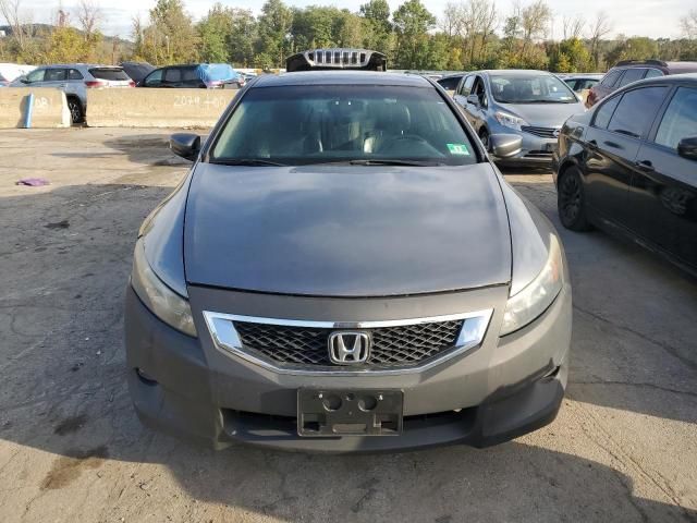 2010 Honda Accord EXL