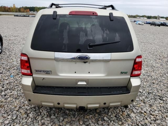 2010 Ford Escape Limited