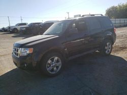 Ford Vehiculos salvage en venta: 2011 Ford Escape XLT