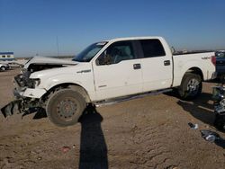 Salvage cars for sale at Greenwood, NE auction: 2013 Ford F150 Supercrew
